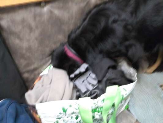 Fotochallenge 113: Auf frsicher Tat ertappt-Beitrag-Bild