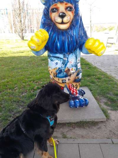 Dogorama Photo Challenge - Dein Hund mit Statuen/Figuren-Beitrag-Bild