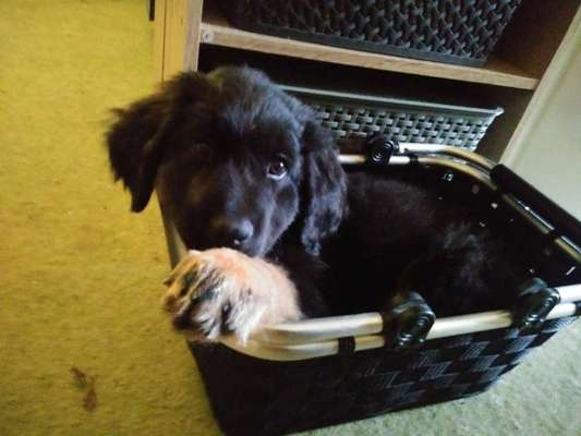 121. Fotochallenge-Beitrag-Bild