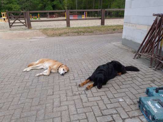 Zeigt her...-Beitrag-Bild