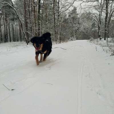 Was hat euch heute gefreut?-Beitrag-Bild