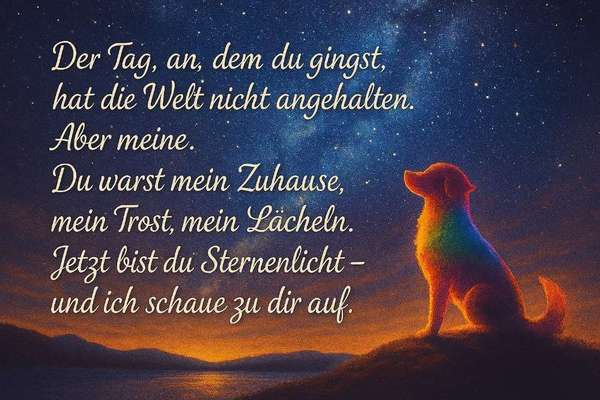Berührende Hunde Bilder/Videos-Beitrag-Bild
