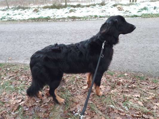 Ist das ein...?-Beitrag-Bild