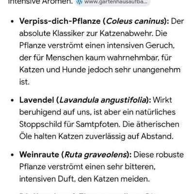 Was hat euch heute genervt?-Beitrag-Bild