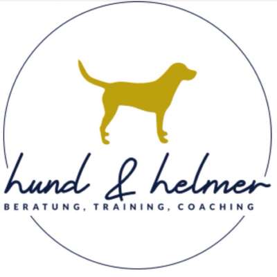 Hundeschulen-hund & helmer-Bild