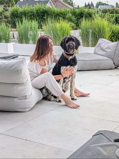 Hundetreffen-Sozial Walk-Bild