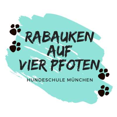 Hundeschulen-Rabauken auf vier Pfoten - Hundeschule München-Bild