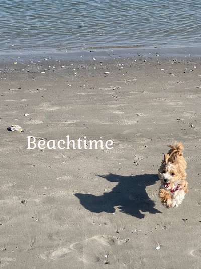 Fotochallange Nr. 46

Schattenspiele BEENDET!!!!!-Beitrag-Bild