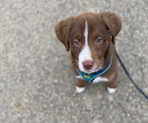 Fotochallange Nr. 57     PORTRÄT.   Beendet!!!!!!!!-Beitrag-Bild