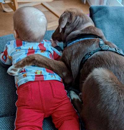 Dogorama Photo Challenge - Be my valentine-Beitrag-Bild