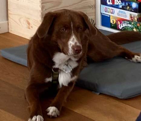 Deckentraining klappt nicht-Beitrag-Bild