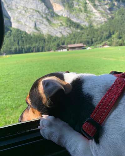 Fotochallenge 101:
On Tour-Beitrag-Bild