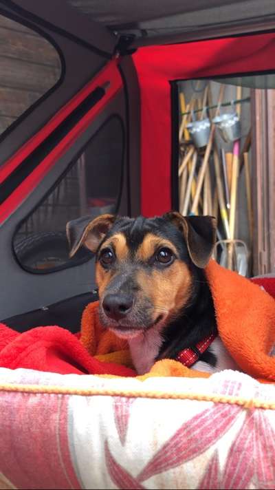 11. Farben Foto Challenge Rot-Beitrag-Bild