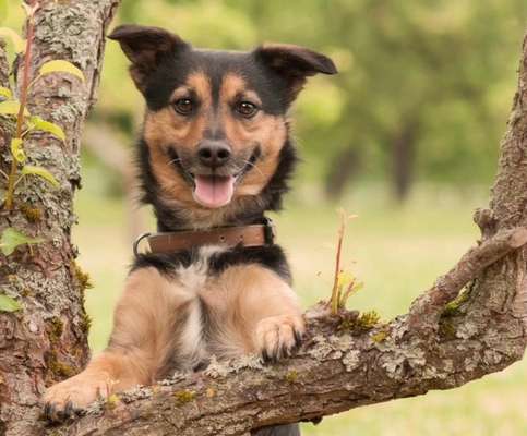 Fotochallenge Nr.122-Beitrag-Bild