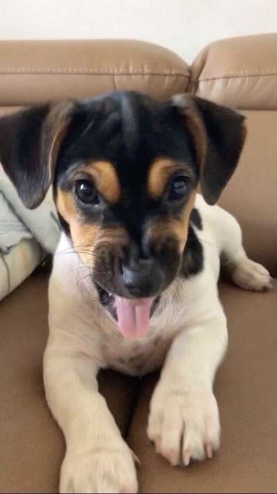 Handy-foto Challange nr. 11-Beitrag-Bild