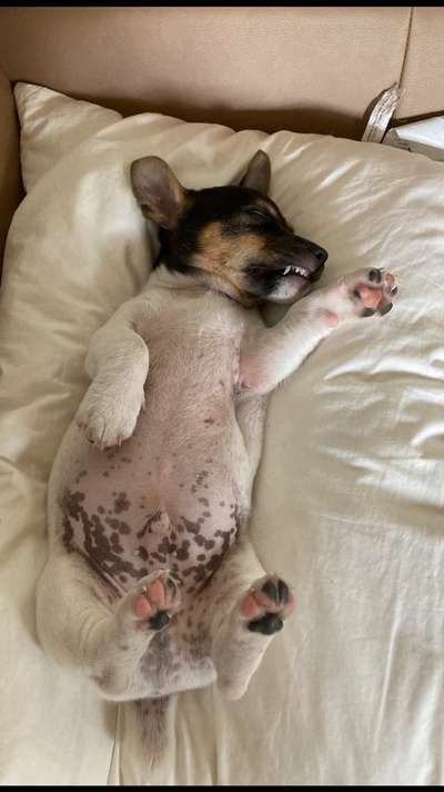 Verrückte Schlafpositionen-Beitrag-Bild