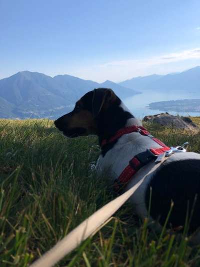 118. Fotochallange-Beitrag-Bild