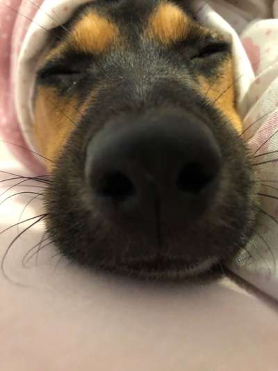 Verrückte Schlafpositionen-Beitrag-Bild