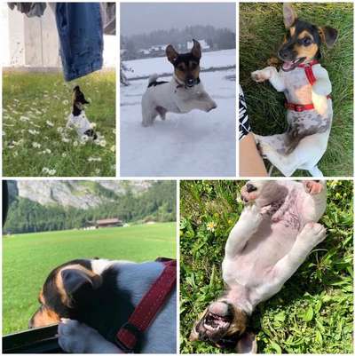 22. Collagen Challenge- Lebensfreude-Beitrag-Bild