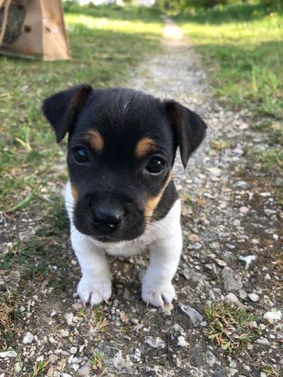 Sie werden so schnell erwachsen ...-Beitrag-Bild