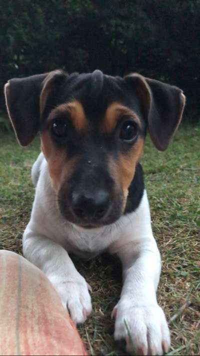 Doppelgänger gesucht !-Beitrag-Bild