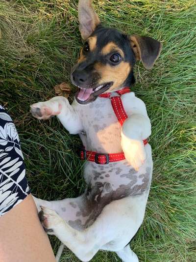 Handy-Foto Challange Nr. 10-Beitrag-Bild