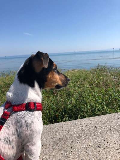 35. Handy Foto Challenge - Das nasse Element-Beitrag-Bild