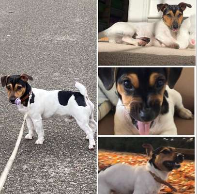 20. Collagen Challenge - "Lustige Schnappschüsse"-Beitrag-Bild