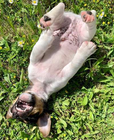 Foto-Challange No.1 - Alles aber nicht die Kamera-Beitrag-Bild