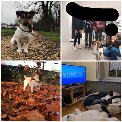 13. Collage- Challenge 
Beschäftigung in der kalten Jahreszeit-Beitrag-Bild