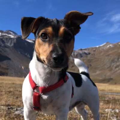 Fotochallenge Nr 107-Beitrag-Bild