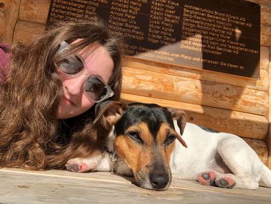 36. Handy Foto Challenge - Sonnenanbeter-Beitrag-Bild