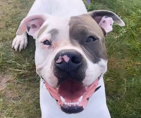 Fotochallenge Nr.122-Beitrag-Bild