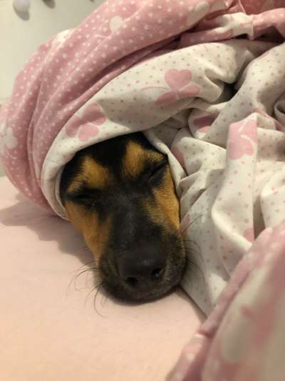 Relaxen im bett-Beitrag-Bild