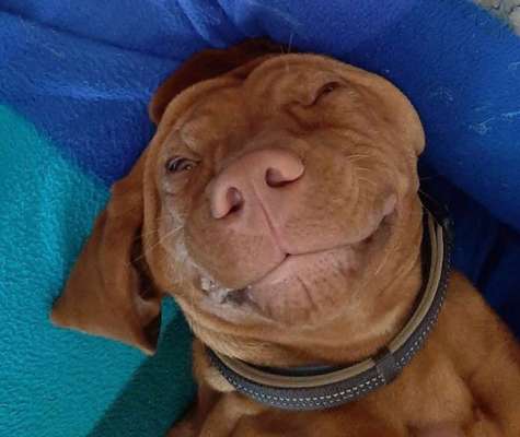 Fotochallenge Nr.122-Beitrag-Bild