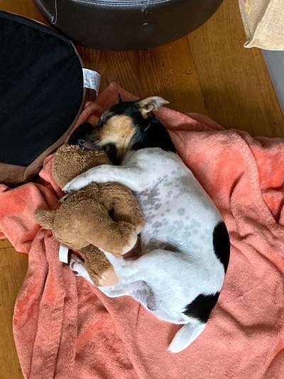 Die unbequemsten und lustigsten Schlafpositionen-Beitrag-Bild