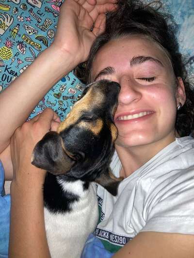 Die erste begrüßung am Morgen-Beitrag-Bild