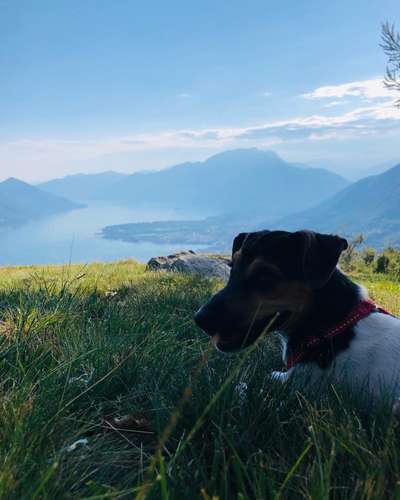 Fotochallenge Nr.100 Urlaubsimpressionen-Beitrag-Bild