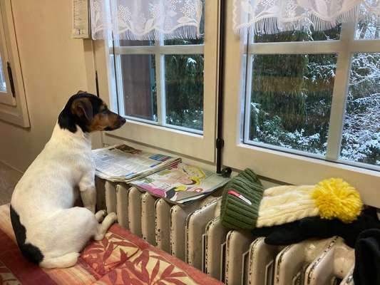 120. Fotochallenge-Beitrag-Bild