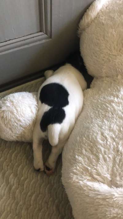 FOTO-Challenge  NR. 91: Die pure Entspannung-Beitrag-Bild