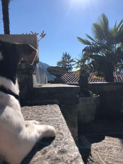 Fotochallenge Nr.100 Urlaubsimpressionen-Beitrag-Bild