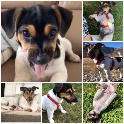 18. Collagen Challenge - Zunge raus!-Beitrag-Bild