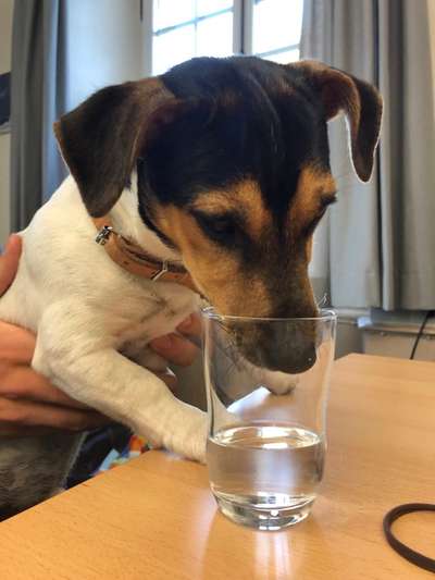 Fotochallenge 113: Auf frsicher Tat ertappt-Beitrag-Bild