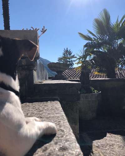 Fotowettbewerb zum Thema "Sonne"-Beitrag-Bild