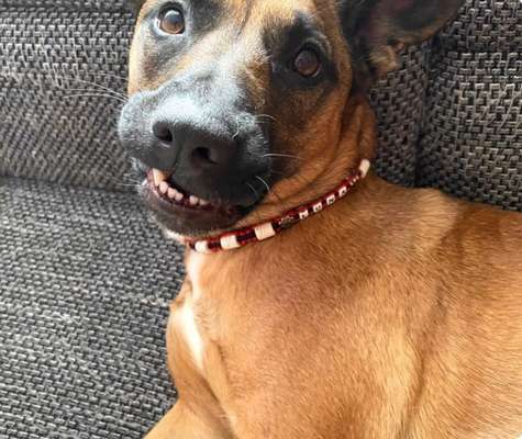 Fotochallenge Nr.122-Beitrag-Bild