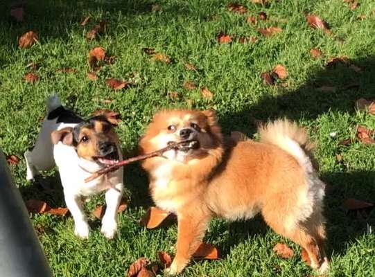 Foto Challenge Nr.: 115-Beitrag-Bild