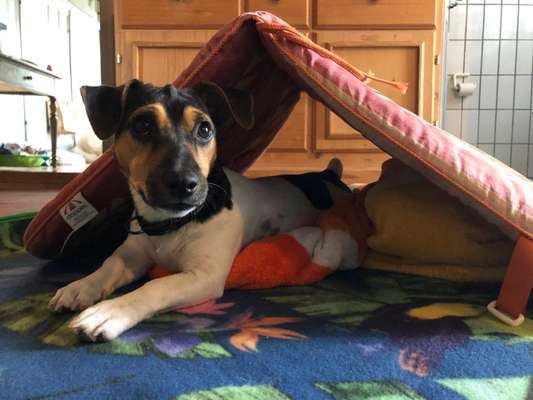 15. Handyfoto Challenge - Indoor Aktivitäten-Beitrag-Bild