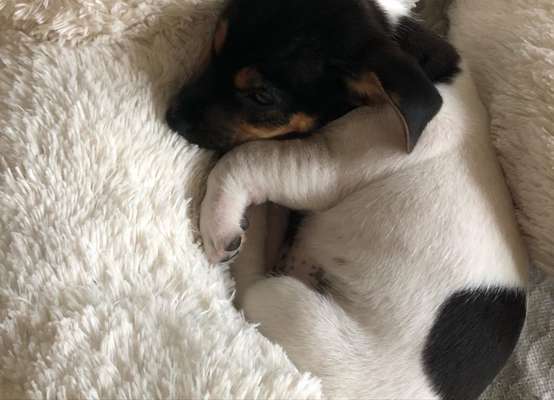 Fotochallange - Eingekugelt-Beitrag-Bild