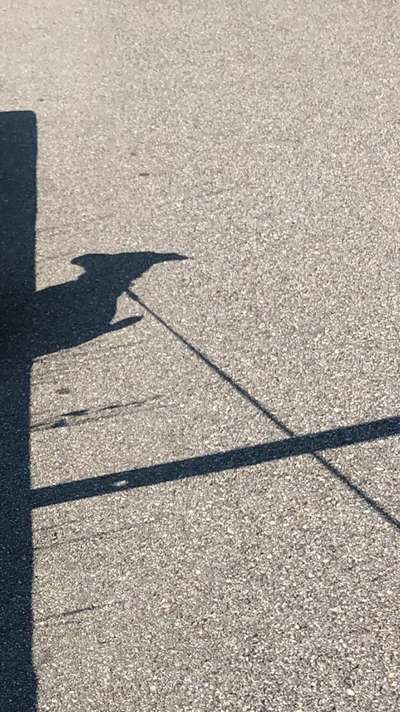 Ratespaß geht weiter-Beitrag-Bild