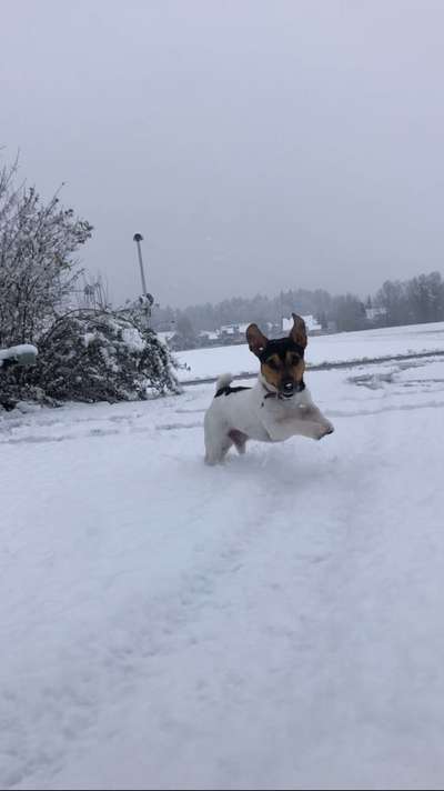 Der erste Schnee, zeigt uns eure tollen Schneemomente-Beitrag-Bild